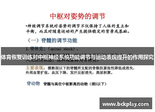 体育恢复训练对中枢神经系统功能调节与运动表现提升的作用探究